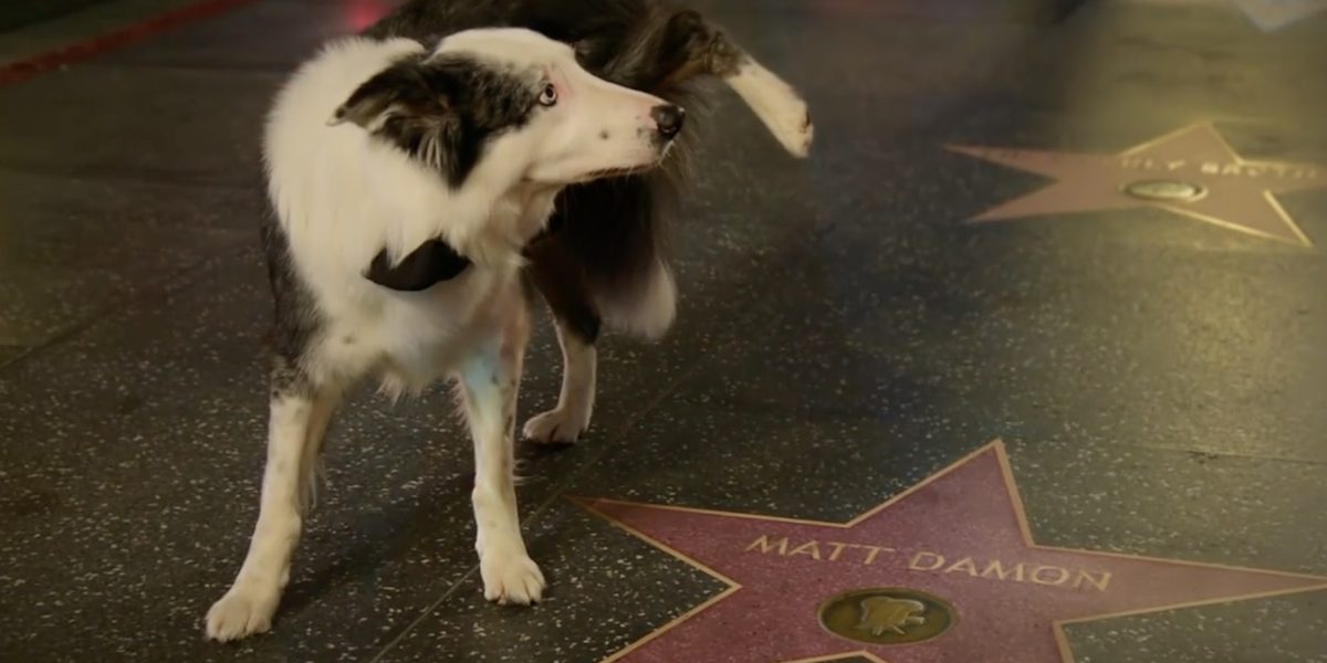 Oscar 2025 tutti i vincitori, il trionfo di Oppenheimer! BadTaste